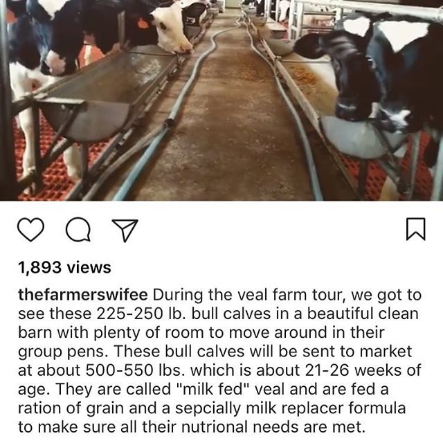 18444964_440956882923834_1785492744752332800_n