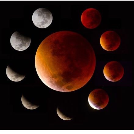 37259402_281150739132438_2359477925150982144_n